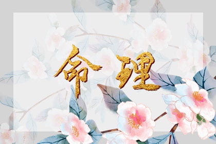 择吉皇历查询,择吉2026皇历,老皇历杳询